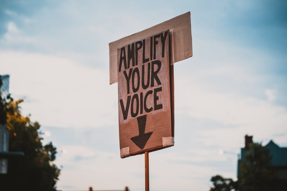 pexels-photo-4570711-4570711 Low angle cardboard placard with amplify your voice inscription against cloudy evening sky during manifestation